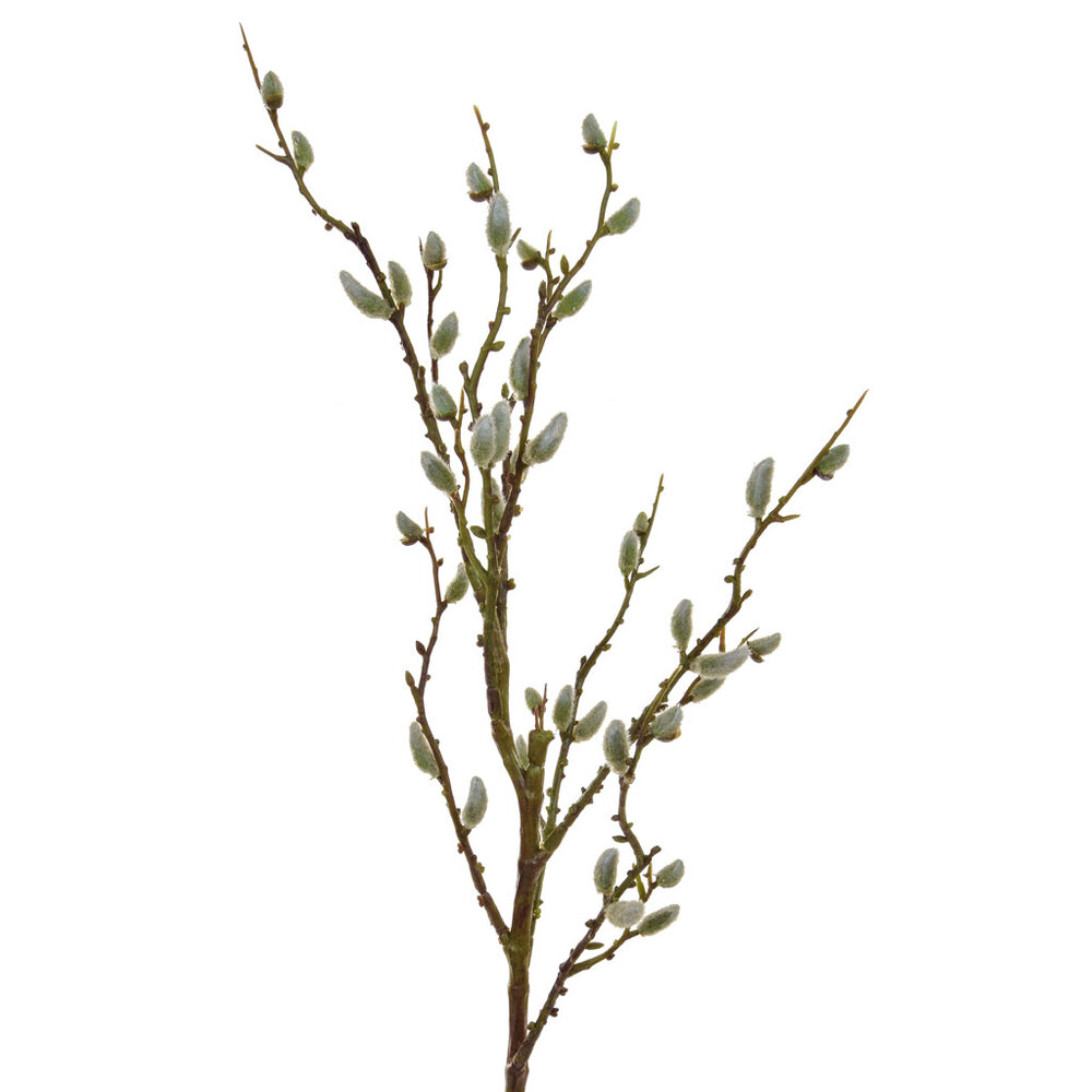 Pussy Willow -artificial branch with multiple stems — Sarah Stuart Flowers